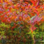 Gooien met biertonnen