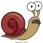 Olifanten - Badeendjes debat